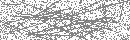 Spam Verification Code